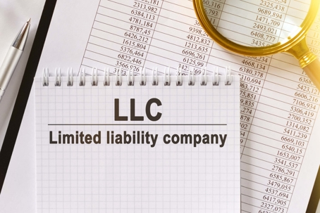 Limited Liability Company