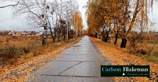 road with autumn leaves